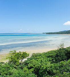 Остров Ириомотэ